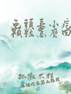 龟头长小疙瘩小颗粒怎么回事