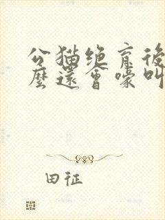 公猫绝育后为什么还会嚎叫