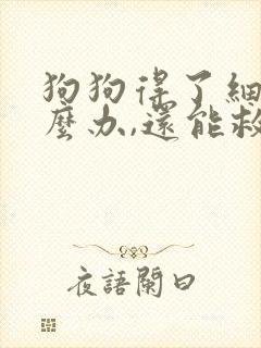 狗狗得了细小怎么办,还能救活吗?