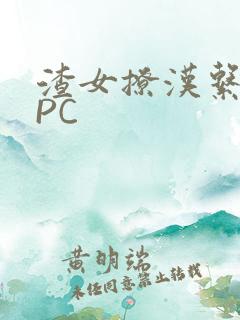渣女撩汉系统NPC