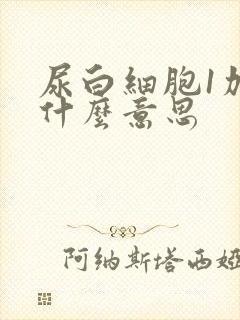 尿白细胞1加是什么意思