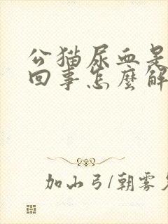 公猫尿血是怎么回事怎么解决