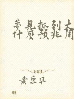 梦见抓到大蛇是什么预兆周公解梦