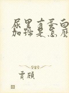 尿里有蛋白三个加号是怎么回事