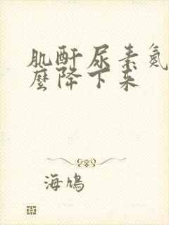 肌酐尿素氮高怎么降下来