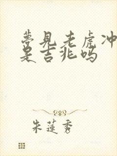 梦见老虎冲过来是吉兆吗