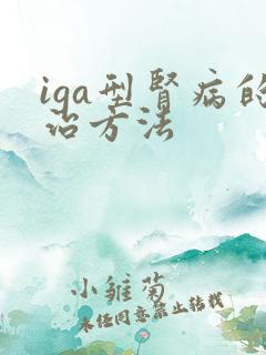 iga型肾病的治方法