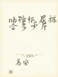 nb号纸尿裤适合多少斤