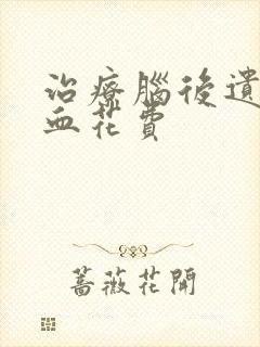 治疗脑后遗症出血花费