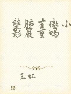 双肺有微小结节影严重吗