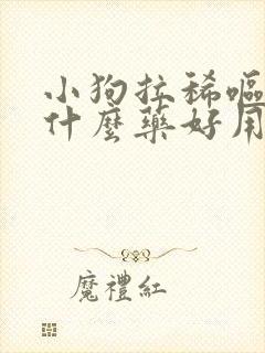 小狗拉稀呕吐吃什么药好用