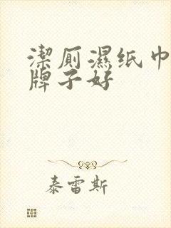 洁厕湿纸巾什么牌子好