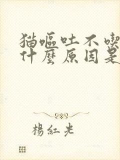 猫呕吐不吃饭是什么原因是什么