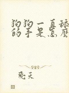 狗狗一直舔主人的手是怎么回事