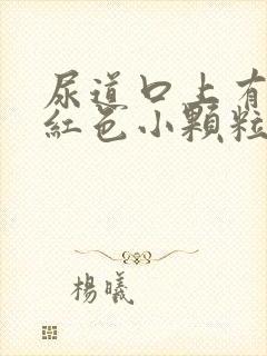 尿道口上有几个红色小颗粒