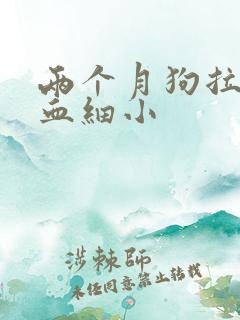 两个月狗拉稀带血细小