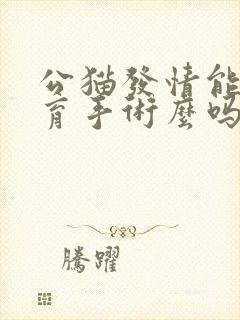 公猫发情能做绝育手术么吗