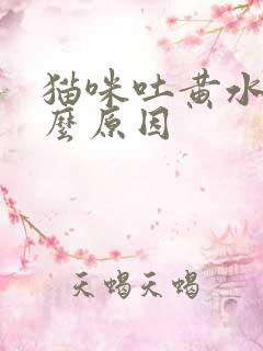 猫咪吐黄水是什么原因