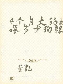 4个月大的边牧喂多少狗粮