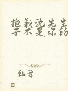 抱歉沈先生,孩子不是你的在线播放