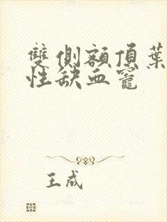 双侧额顶叶腔隙性缺血灶