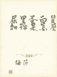 尿里蛋白质2个加号是怎么回事