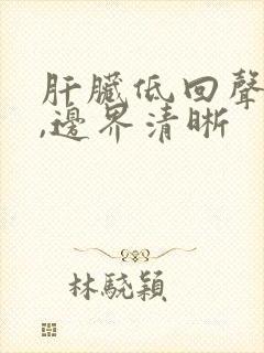 肝脏低回声结节,边界清晰