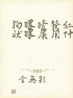 狗眼睛发红有脓状眼屎用什么药治疗狗