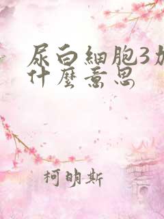 尿白细胞3加是什么意思