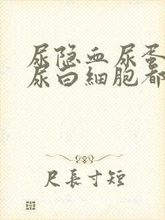 尿隐血尿蛋白质尿白细胞都高