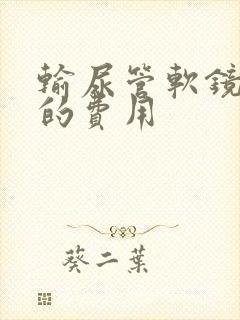 输尿管软镜取石的费用