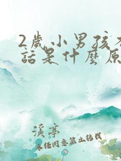 2岁小男孩不说话是什么原因