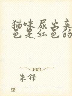 猫咪尿出来的颜色是红色的怎么办