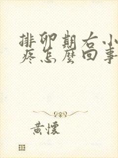 排卵期右小肚子疼怎么回事