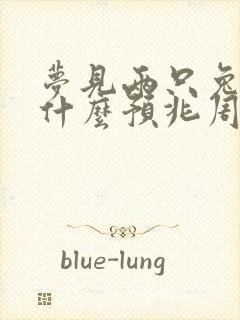 梦见两只兔子是什么预兆周公解梦