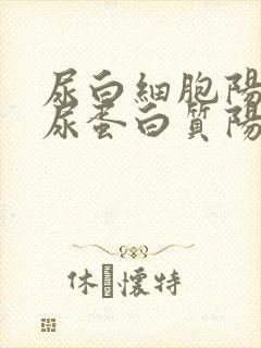 尿白细胞阳性,尿蛋白质阳性是咋回事