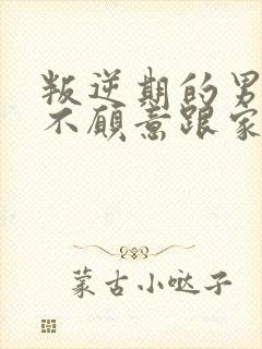 叛逆期的男孩子不愿意跟家人沟通