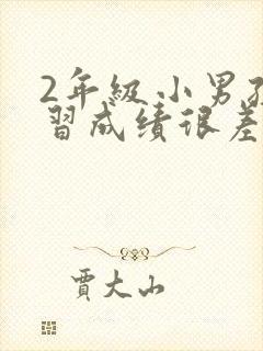 2年级小男孩学习成绩很差