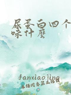 尿蛋白四个加意味什么