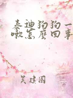 泰迪狗狗一直咳嗽怎么回事