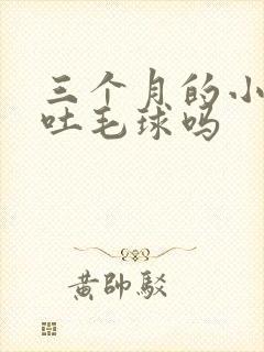 三个月的小猫会吐毛球吗