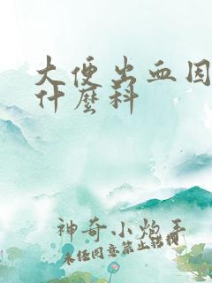 大便出血因该挂什么科