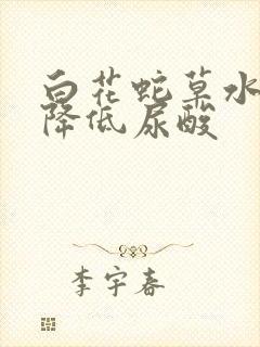 白花蛇草水可以降低尿酸