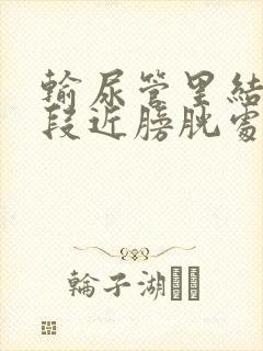 输尿管里结石下段近膀胱处