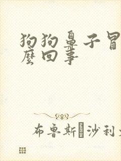 狗狗鼻子冒泡怎么回事