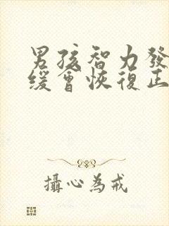 男孩智力发育迟缓会恢复正常吗