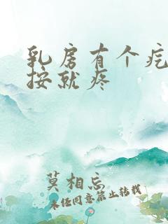 乳房有个疙瘩一按就疼