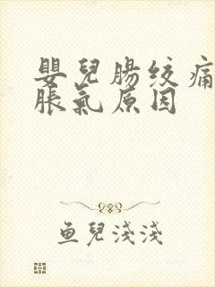 婴儿肠绞痛和肠胀气原因