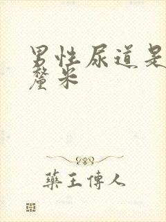 男性尿道是多少厘米