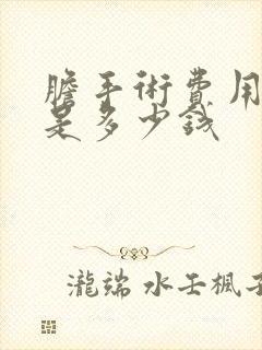 胆手术费用大概是多少钱